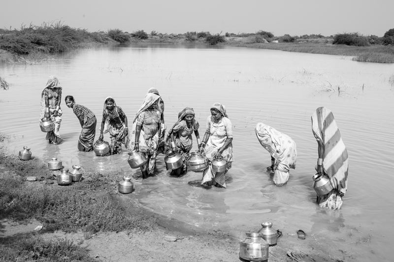 Women and Drinking Water Challenges - Fetching drinking water from an unprotected pond which is used by humans and animals alike in district Kutch, Gujarat